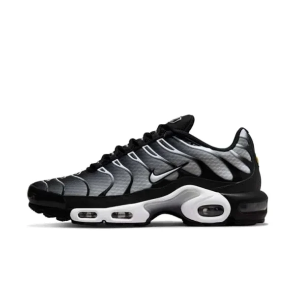 Nike Air Max Plus Smoke Fade