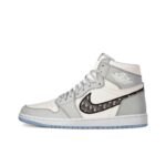 Air Jordan 1 Retro High Dior